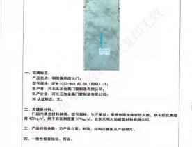钢制防火门检验报告-3