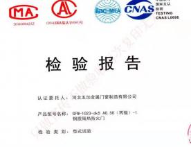 钢制防火门检验报告-3