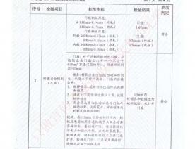 钢制四防门检验报告